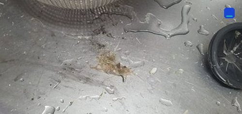 오피스텔 변기 배수 정비 궁정동 하수구막힘 오피스텔 변기 배수 정비